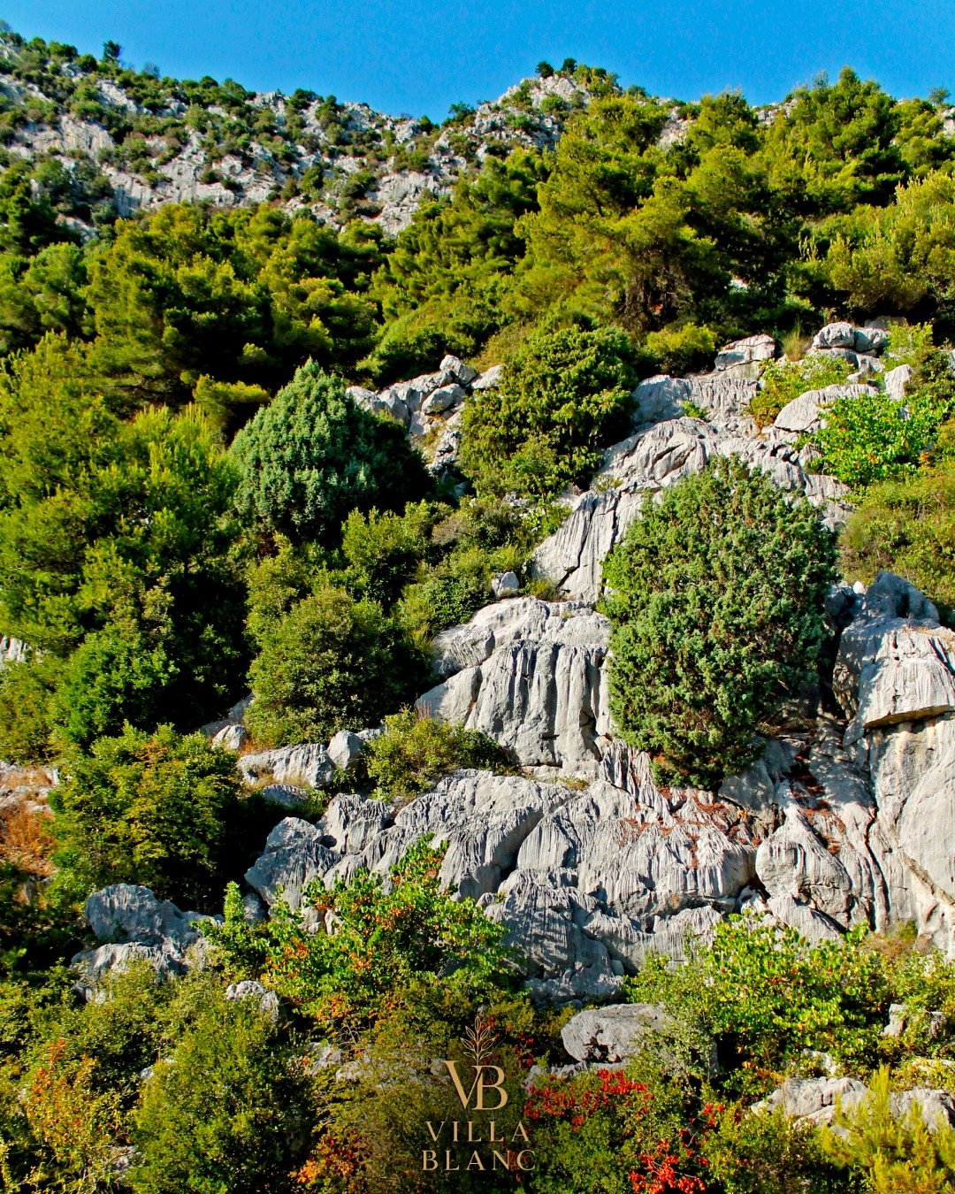 Hillside view
